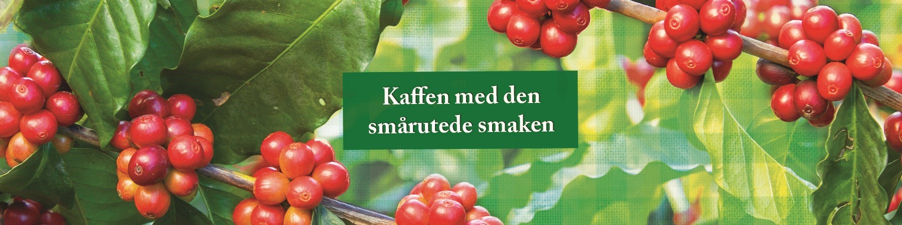 kjokkenspesialbanner.jpg